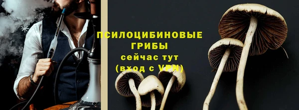 прущие крисы Дмитриев