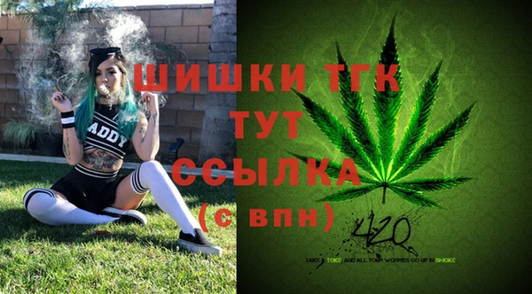 прущие крисы Дмитриев