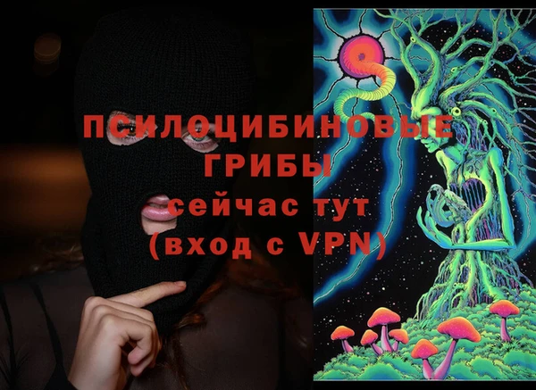 каннабис Дмитров