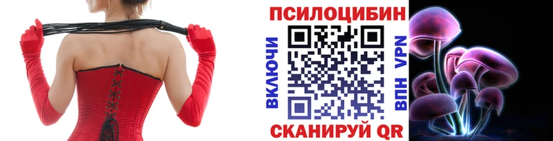 Псилоцибиновые грибы GOLDEN TEACHER  Зеленогорск 