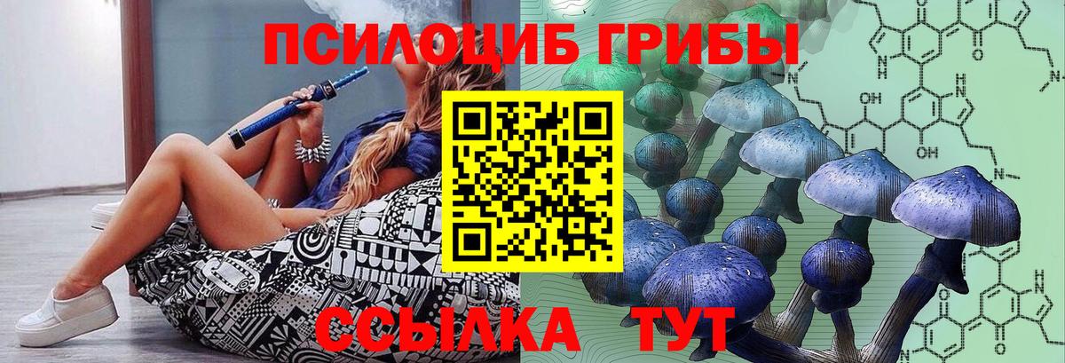 Галлюциногенные грибы мухоморы  Галлюциногенные грибы Magic Shrooms  Зеленогорск  Вход с VPN 