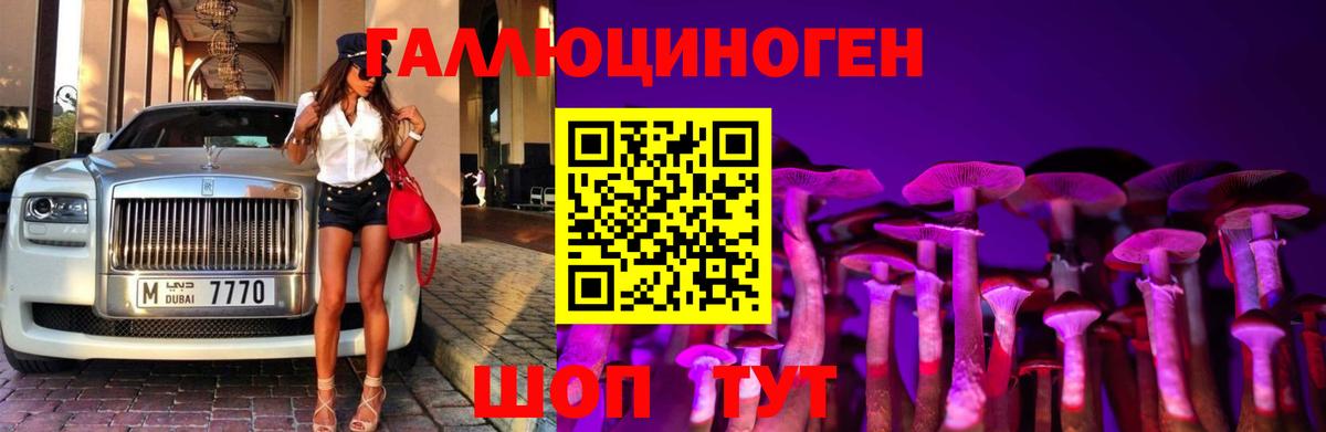 ЭКСТАЗИ  Вход с VPN  МЕФ   Кокаин  A-PVP СК   LSD-25  Зеленогорск  МАРИХУАНА  Гашиш  Конопля 
